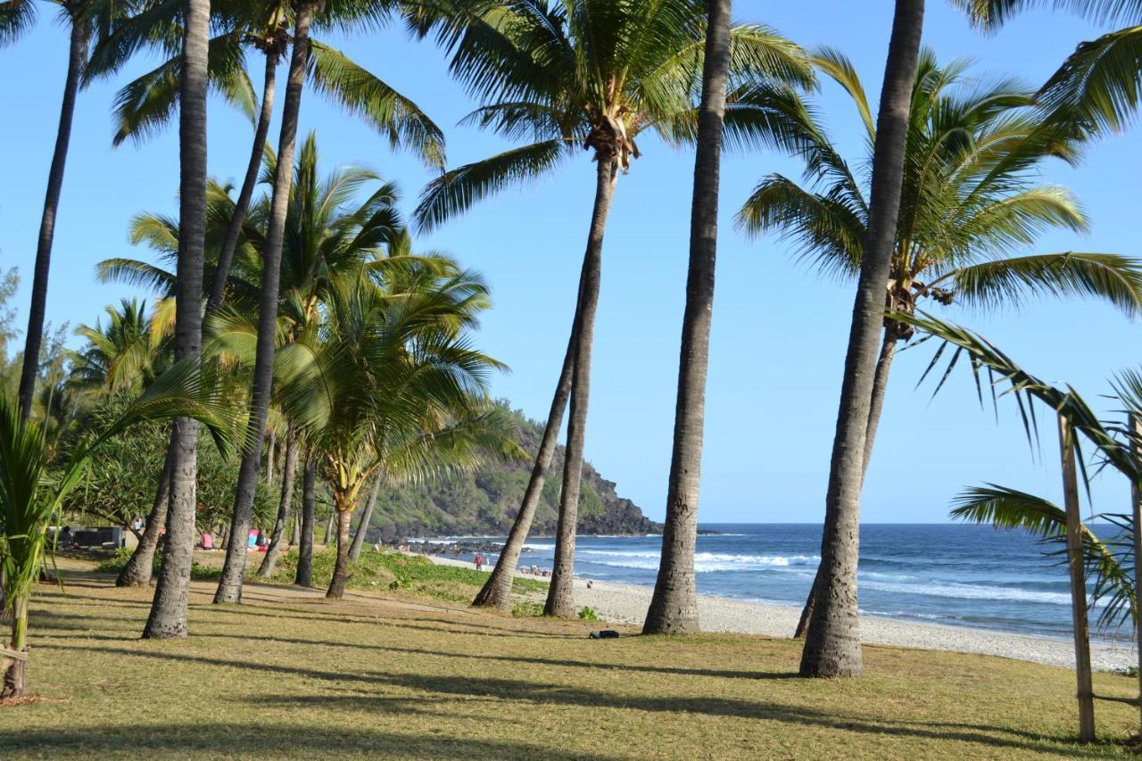 Villa Atypique Le Chat Perche De Grand Anse Petite-Ile Luaran gambar